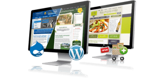 web-development Iguane Média