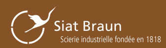 Logo Siat Braun
