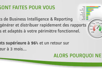 Logiciel de gestion immobilière QlikView