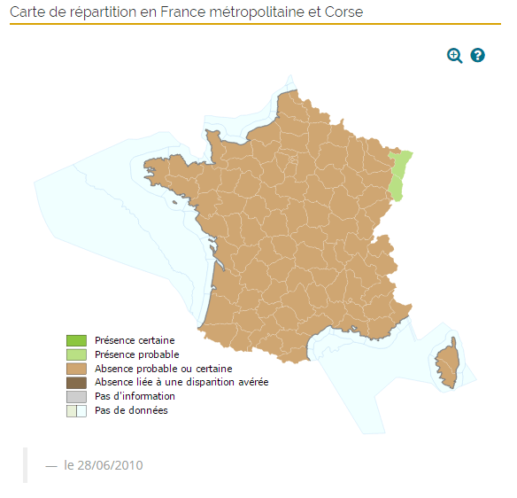 Aire de répartition du Cricetus en France