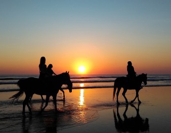 Randonnée à cheval en bord de mer au soleil couchant