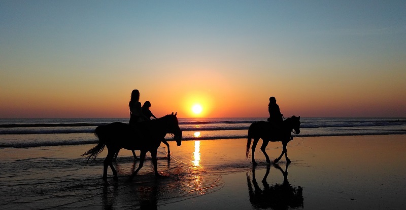 Randonnée à cheval en bord de mer au soleil couchant